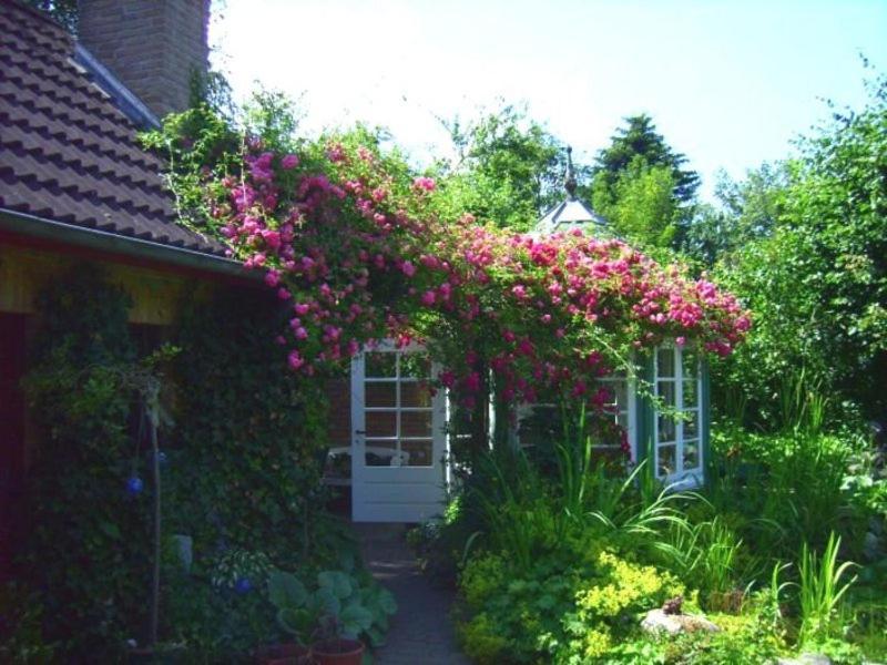 Ferienwohnung Diena - Unterkunft Mit Toller Ausstattung Und Zwei Terrassen Tarp Exterior photo